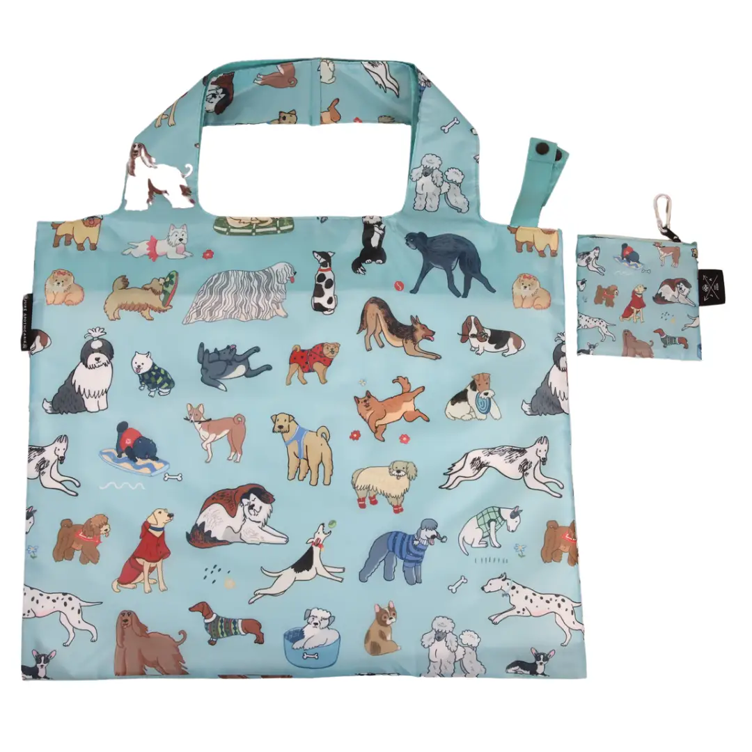 Cute eco bags hotsell